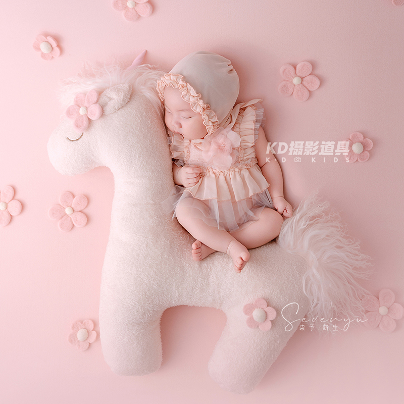 Sevimli Unicorn Tema Yenidoğan - Photography Outfits incelemesi ve fiyatı